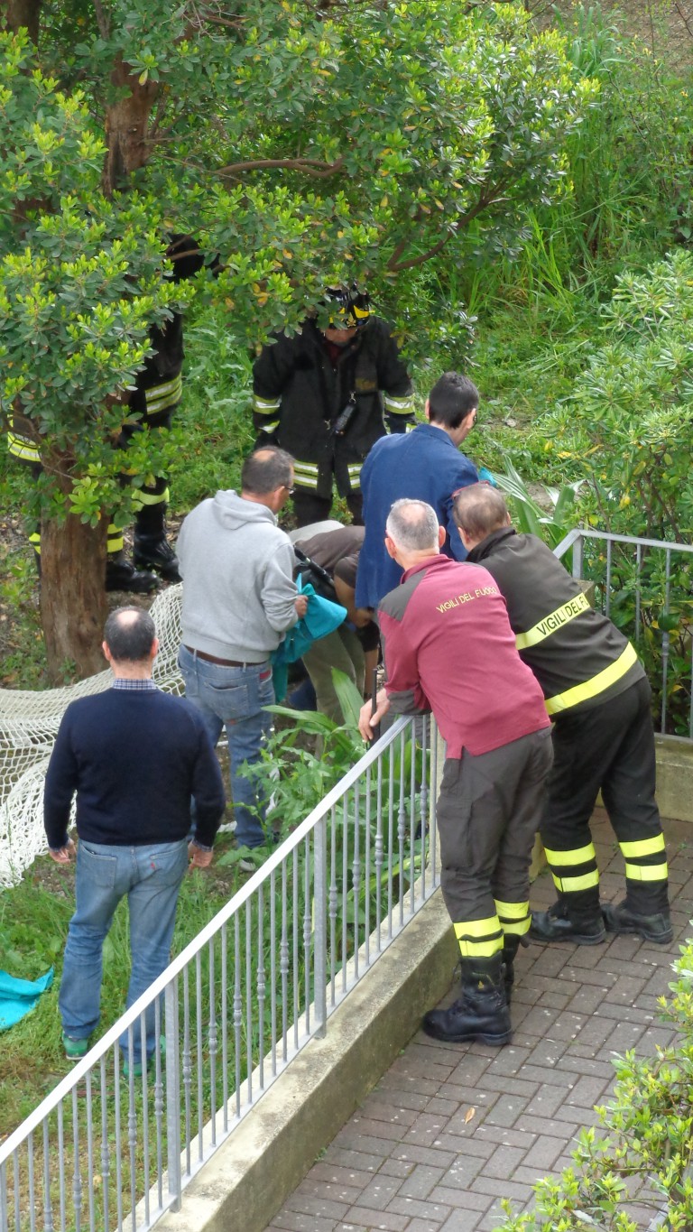 allontanare cane bicicletta